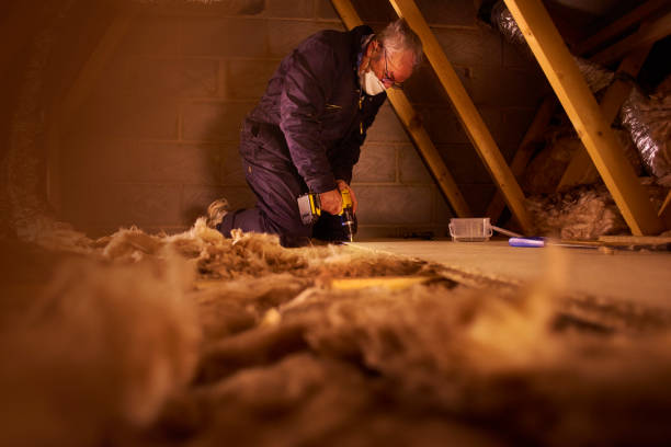 Best Residential Insulation in Belcourt, ND
